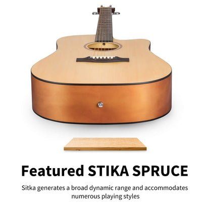 Donner Acoustic Guitar Kit for Beginners Adult Teen - Starter Kit, Full Size ...