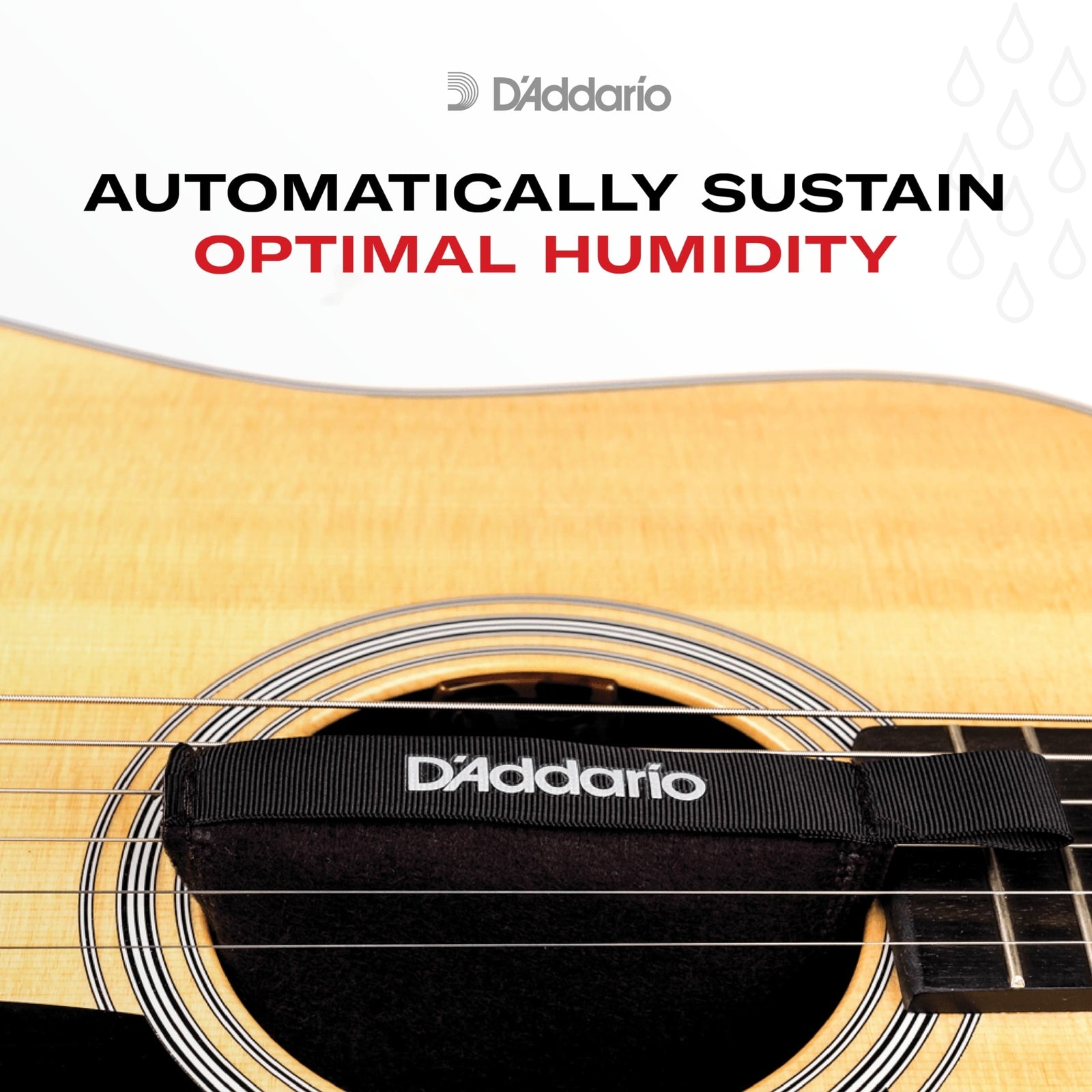 D Addario Planet Waves Humidipak Automatic Humidity Control System for Guitar