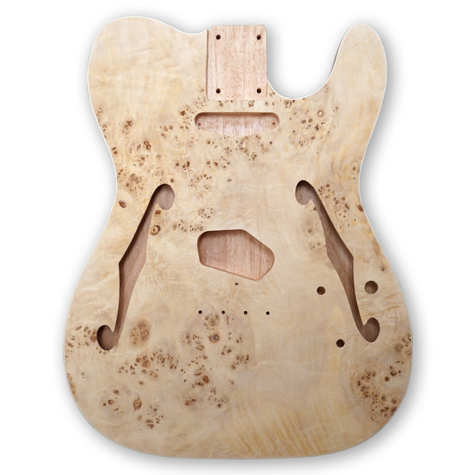 DIY Electric Guitar Kit Beginner Kits Birdseye Maple Veener Top Mahogany Body