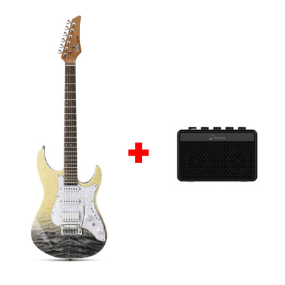 DST-550 ST Electric Guitar