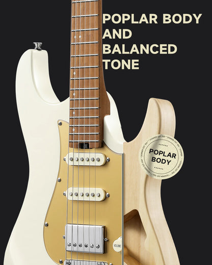 DST-550 ST Electric Guitar