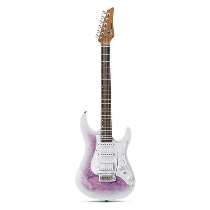 DST-550 ST Electric Guitar