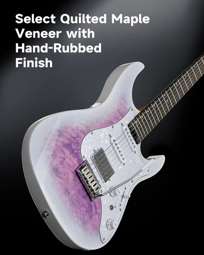 DST-550 ST Electric Guitar
